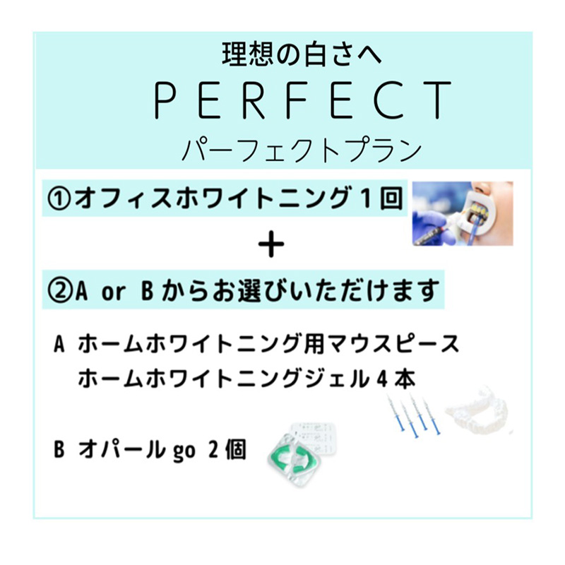 あなたにおすすめなプランは【パーフェクトプラン】です